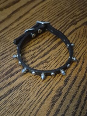 Black Studded Leather Dog/cat Collar with Silver Buckle